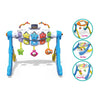 Spring Flower Baby Activity Gym 3-in-1 Play